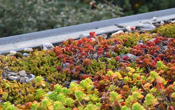 the cost of Binsoe green roof installation