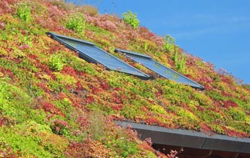 Binsoe living roof systems