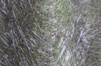 Binsoe fibreglass roof work